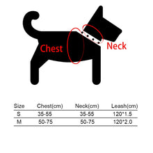 Load image into Gallery viewer, No Pull Dog Harness Set with 1.2m Dog Leash Size Adjustable