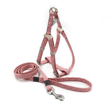 Load image into Gallery viewer, No Pull Dog Harness Set with 1.2m Dog Leash Size Adjustable
