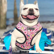 Load image into Gallery viewer, Colorful Dog Vest