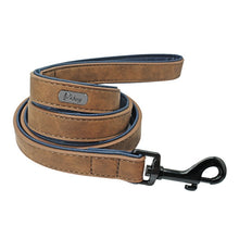 Load image into Gallery viewer, Dog Leash For Small Medium Large Dogs