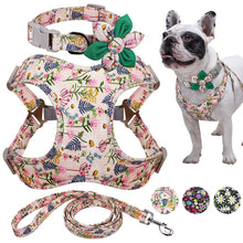 Load image into Gallery viewer, Colorful Decorative Harness Leash And Collar Set
