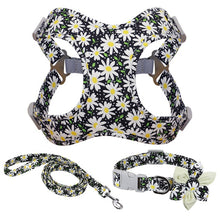 Load image into Gallery viewer, Colorful Decorative Harness Leash And Collar Set