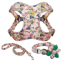 Load image into Gallery viewer, Colorful Decorative Harness Leash And Collar Set
