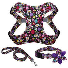 Load image into Gallery viewer, Colorful Decorative Harness Leash And Collar Set