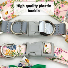Load image into Gallery viewer, Colorful Decorative Harness Leash And Collar Set