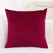 Load image into Gallery viewer, Romantic Velvet Pillow Cover