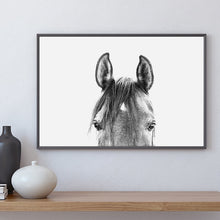 Load image into Gallery viewer, Black and White Horse Head Canvas