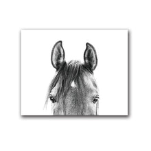 Load image into Gallery viewer, Black and White Horse Head Canvas