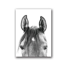 Load image into Gallery viewer, Black and White Horse Head Canvas