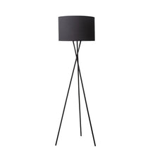 Load image into Gallery viewer, Led Modern Iron Tripod Floor Lamps