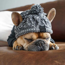 Load image into Gallery viewer, Winter Pet Dog Cap