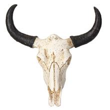 Load image into Gallery viewer, Resin Longhorn Skull Head 3D