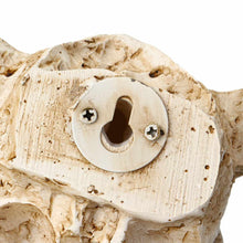 Load image into Gallery viewer, Resin Longhorn Skull Head 3D