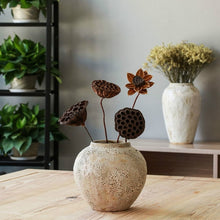 Load image into Gallery viewer, Pastoral Porcelain Modern Style Ceramic Coarse Pottery Vase